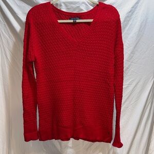 American Eagle Outfitters Scarlet V-Neck Sweater